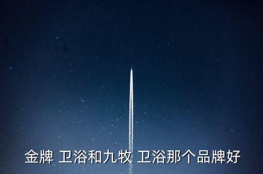  金牌 衛(wèi)浴和九牧 衛(wèi)浴那個品牌好