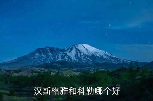  漢斯格雅和科勒哪個好