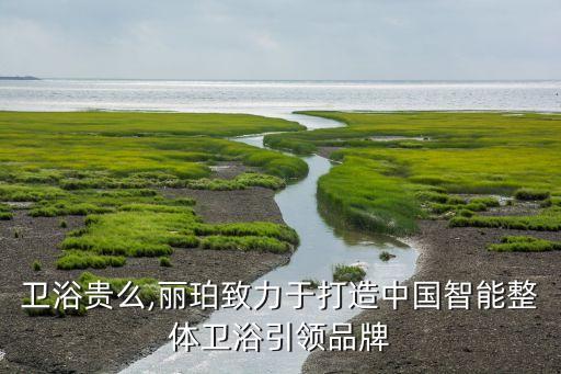 麗珀衛(wèi)浴貴么,麗珀致力于打造中國智能整體衛(wèi)浴引領(lǐng)品牌