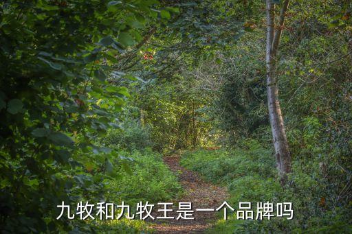 九牧新中式衛(wèi)浴,九牧衛(wèi)浴知名度不如科谷衛(wèi)浴性價比較低