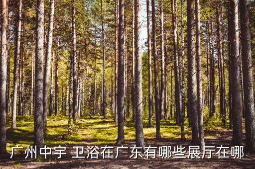 廣州中宇 衛(wèi)浴在廣東有哪些展廳在哪