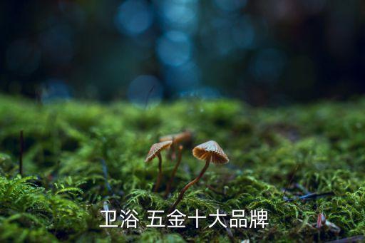 匯泰龍五金衛(wèi)浴河北承德店,衛(wèi)浴五金知多少?問與答（十）