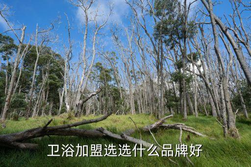 衛(wèi)浴加盟選選什么品牌好
