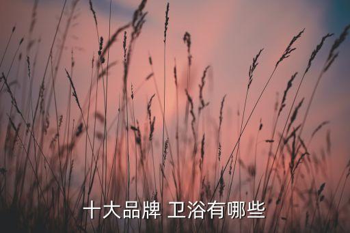 十大品牌 衛(wèi)浴有哪些