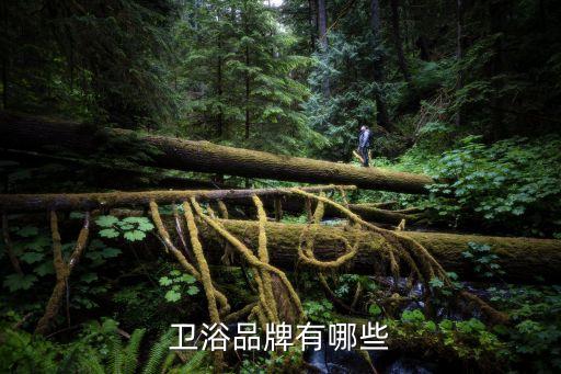 衛(wèi)浴品牌有哪些