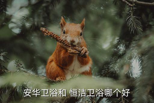 安華衛(wèi)浴和 恒潔衛(wèi)浴哪個好