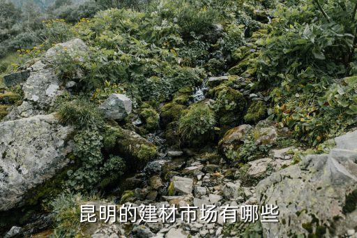 昆明的建材市場有哪些