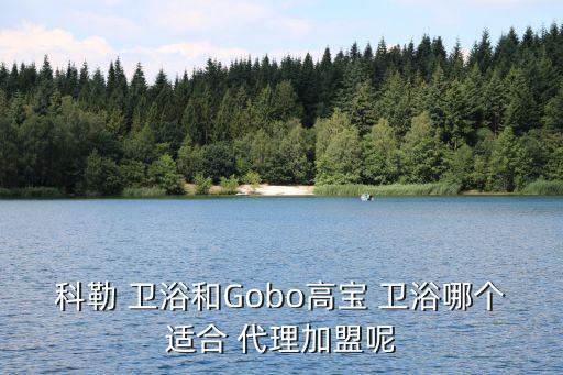 衛(wèi)浴招加盟代理,衛(wèi)生陶瓷磚加盟哪個(gè)品牌比較合適?