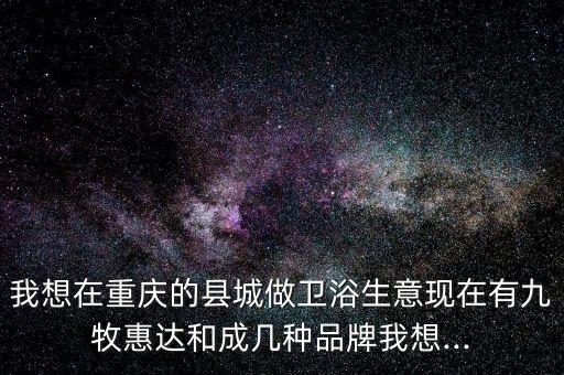 杜菲尼衛(wèi)浴旗艦店,重慶惠達(dá)衛(wèi)浴成為本地衛(wèi)浴知名品牌