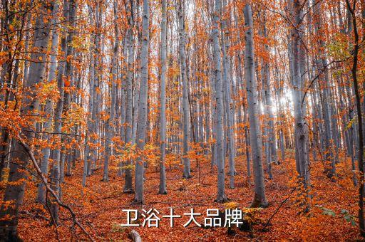 衛(wèi)浴十大品牌