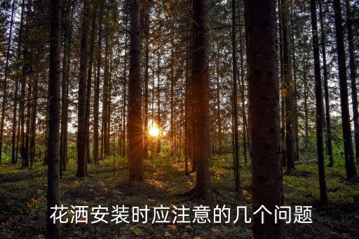  花灑安裝時應(yīng)注意的幾個問題