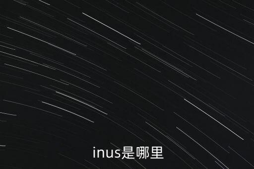  inus是哪里