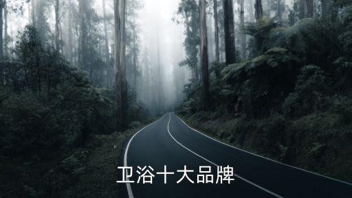 煙臺(tái)安華衛(wèi)浴,安華衛(wèi)浴s18智能坐便器功能比較齊全
