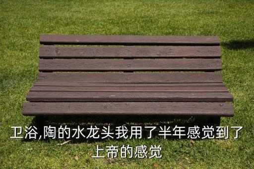 一陶衛(wèi)浴,陶的水龍頭我用了半年感覺到了上帝的感覺
