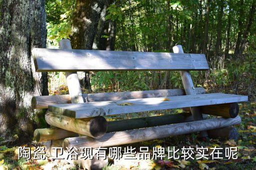 陶瓷 衛(wèi)浴現(xiàn)有哪些品牌比較實(shí)在呢