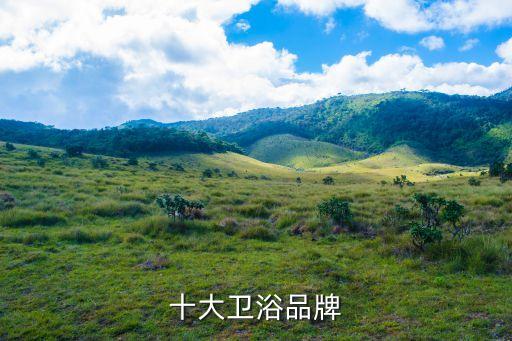 2013年衛(wèi)浴行業(yè),鯨鯨衛(wèi)浴16年闖入全球十大衛(wèi)浴品牌榜單