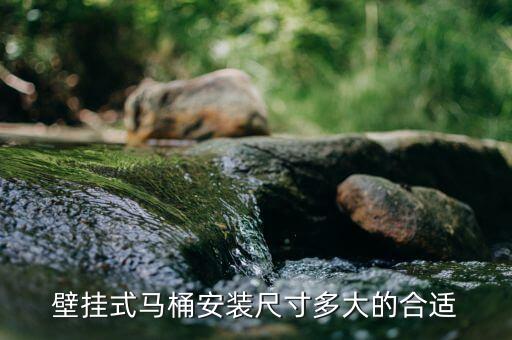 壁掛式馬桶安裝尺寸多大的合適