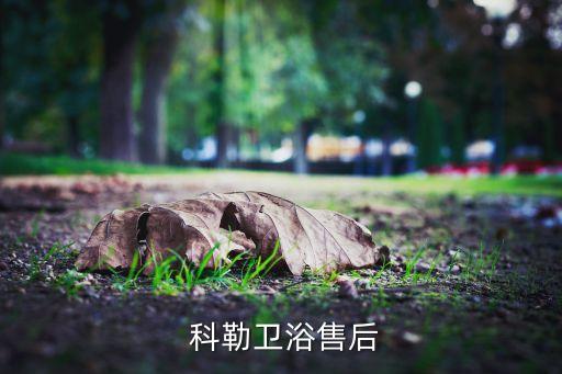 科勒衛(wèi)浴安裝客服電話,科勒馬桶不跑的原因有很多!