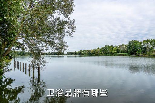 舒麗瑪衛(wèi)浴,我買的是金牌按摩缸你建議用什么牌子的呢?