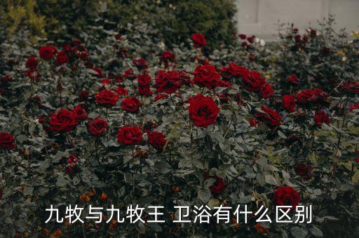 九牧與九牧王 衛(wèi)浴有什么區(qū)別
