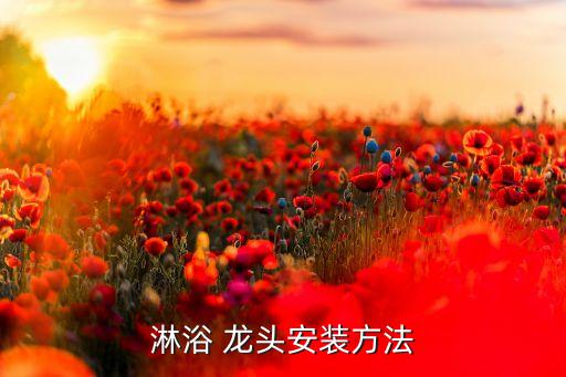 衛(wèi)浴洗澡花灑龍頭,花灑軟管長度適合不同家裝裝置