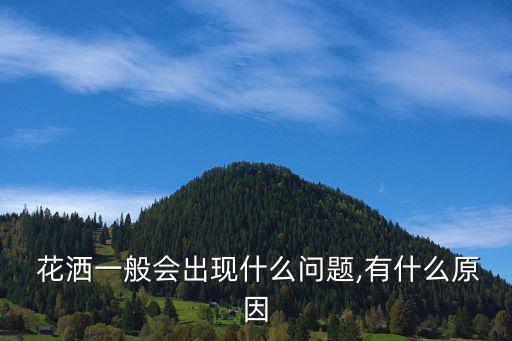 衛(wèi)浴花灑常見(jiàn)問(wèn)題,花灑堵塞怎么辦?可以這樣做!