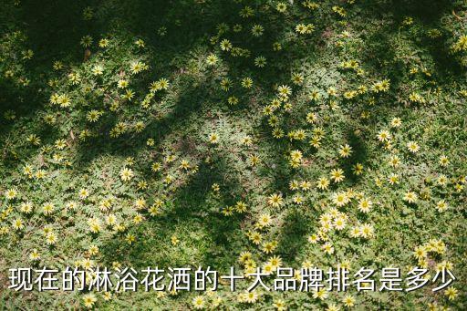現(xiàn)在的淋浴花灑的十大品牌排名是多少
