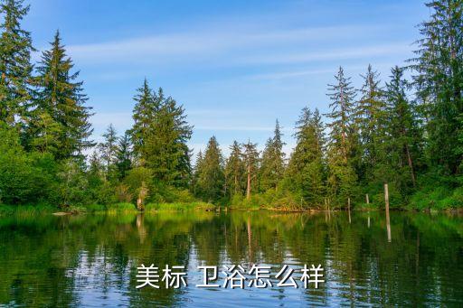 標(biāo)圖衛(wèi)浴怎么樣,設(shè)計(jì)解決方案是美標(biāo)對中國客戶承諾