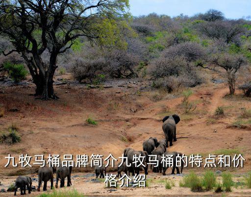 九牧馬桶品牌簡(jiǎn)介九牧馬桶的特點(diǎn)和價(jià)格介紹