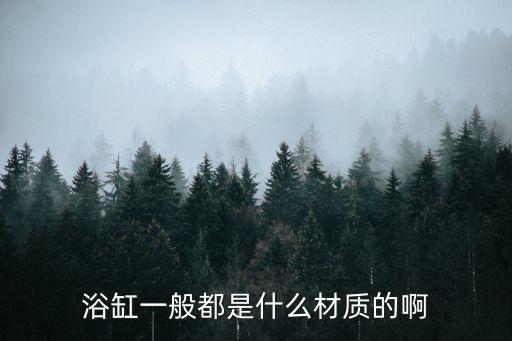 西文衛(wèi)浴定制單價,哪些浴缸具備這些功能呢?