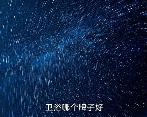  衛(wèi)浴哪個牌子好
