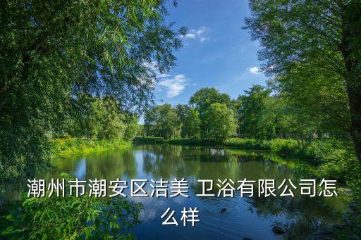  潮州市潮安區(qū)潔美 衛(wèi)浴有限公司怎么樣