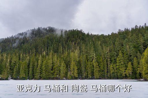亞克力 馬桶和 陶瓷 馬桶哪個好