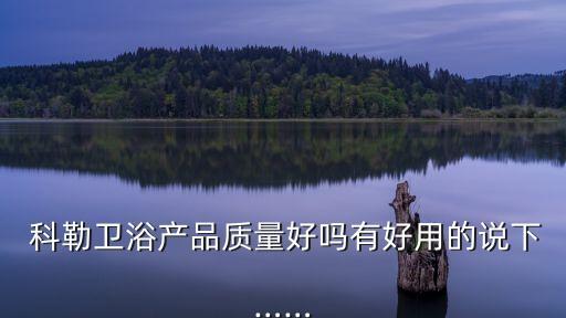  科勒衛(wèi)浴產(chǎn)品質(zhì)量好嗎有好用的說(shuō)下……