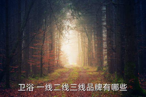 天陶衛(wèi)浴是一線品牌嗎,衛(wèi)生一線品牌有哪些?