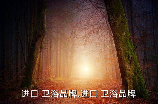 德國(guó)當(dāng)代衛(wèi)浴怎么樣,dubach衛(wèi)浴屬于二線品牌洗浴挺好的