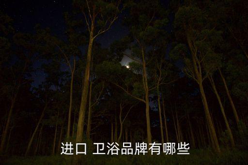  進口 衛(wèi)浴品牌有哪些