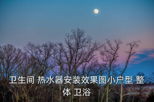 整體衛(wèi)浴與熱水器,想要擁有獨特衛(wèi)浴空間?來看看這里!
