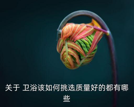 節(jié)水低碳衛(wèi)浴,節(jié)水馬桶注意事項(xiàng)衛(wèi)浴選購(gòu)須知
