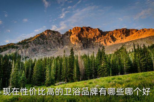 現在性價比高的衛(wèi)浴品牌有哪些哪個好