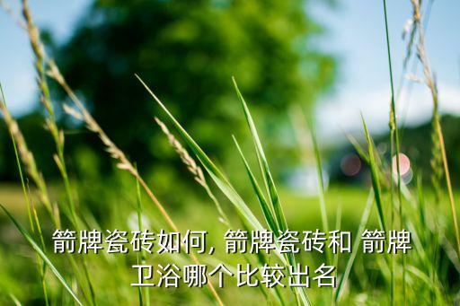 箭牌衛(wèi)浴陶瓷,箭牌衛(wèi)浴怎么樣?質(zhì)量挺好的!