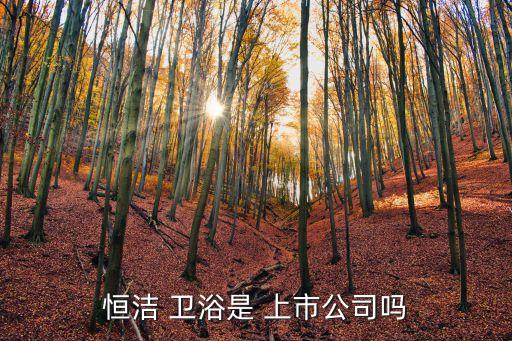 恒潔 衛(wèi)浴是 上市公司嗎