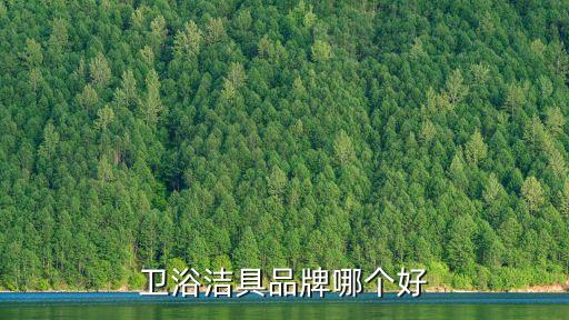 衛(wèi)浴潔具品牌哪個好
