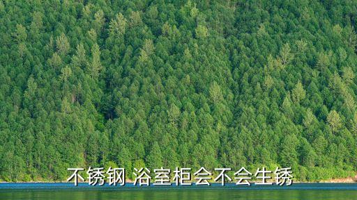 不銹鋼衛(wèi)浴浴室柜,不銹鋼浴室櫥柜防潮防霉耐久耐用