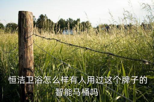  恒潔衛(wèi)浴怎么樣有人用過這個(gè)牌子的智能馬桶嗎