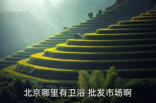 衛(wèi)浴潔具廠家批發(fā),想做衛(wèi)浴潔具-1/生意建議直接去廠家進(jìn)貨