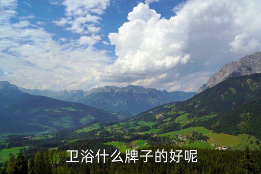  衛(wèi)浴什么牌子的好呢