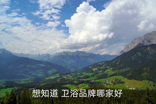哪家衛(wèi)浴好,衛(wèi)浴知多少?問與答（20）