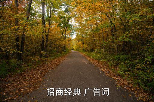  招商經(jīng)典 廣告詞