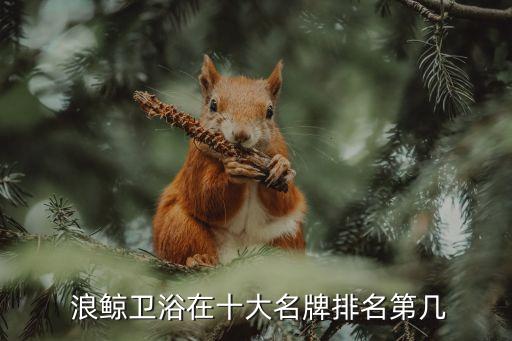 浪鯨衛(wèi)浴大慶售后,十大衛(wèi)浴品牌之一浪鯨衛(wèi)浴三大優(yōu)勢